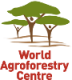 International Centre for Research in Agroforestry logo